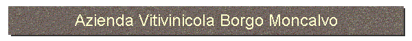 Azienda Vitivinicola Borgo Moncalvo