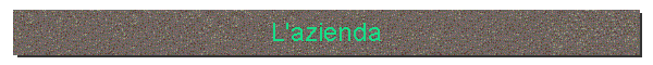 L'azienda
